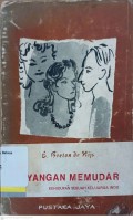 Bayangan memudar: kehidupan sebuah keluarga indo