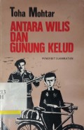 Antara wilis dan gunung kelud