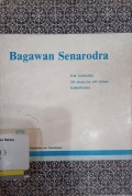 Bagawan senarodra