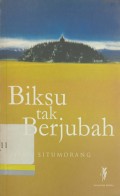 Biksu Tak Berjubah