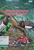 Tangis Burung Emprit Jawa