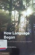 How Language Began: Gesture and Speech in Human Evolution
