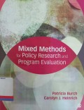 Mixed methods for policy research and program evaluation