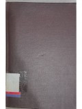 Bases of phonology