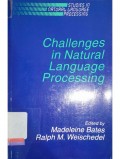 Chalenge in natural language processing