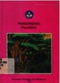 Pengembara (Candhini)