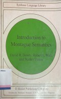 Introduction to Montage Semantics
