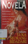 Luka seorang bidadari
